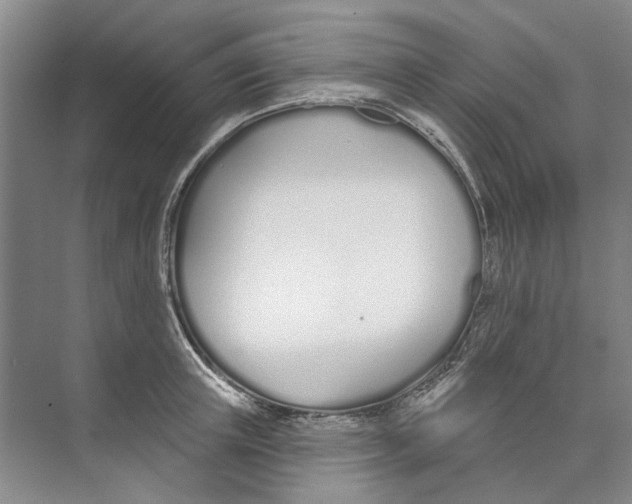 X0000074320851200609230024