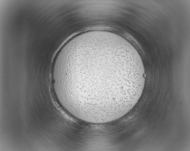 X0000074320852200609230024