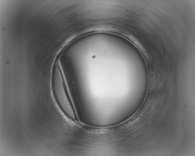 X0000074320853200609230025