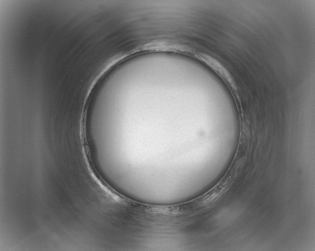 X0000074320855200609230025