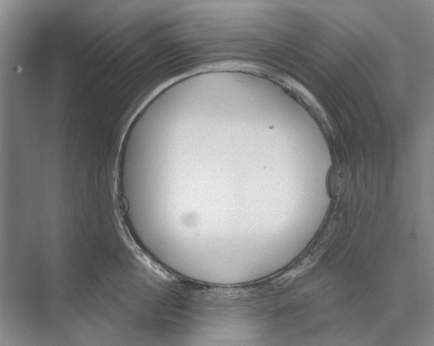 X0000074320860200609230025