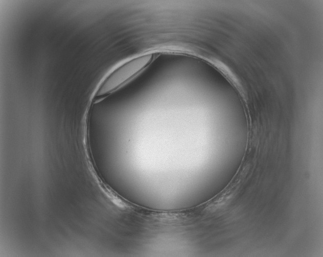 X0000074320862200609230025