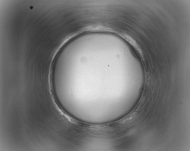 X0000074320863200609230025