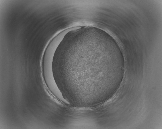 X0000074320864200609230025