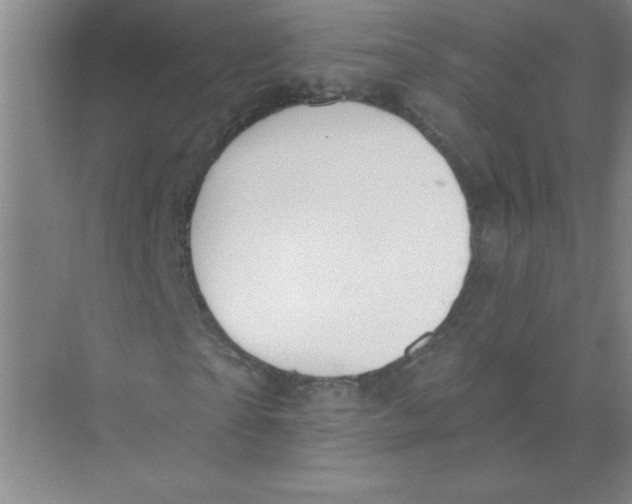 X0000074320865200609230024