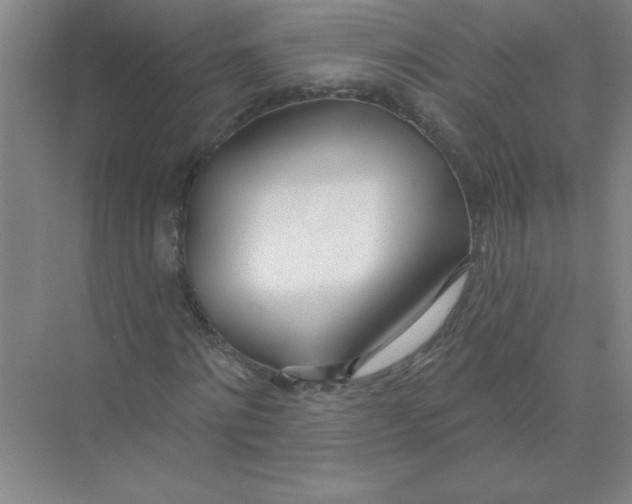 X0000074320868200609230024