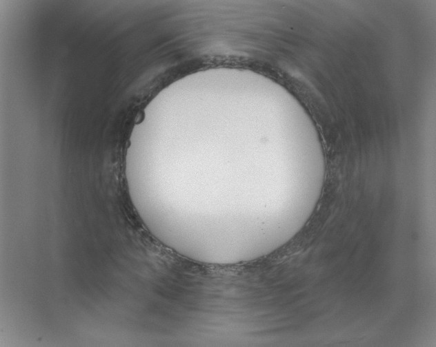 X0000074320870200609230024