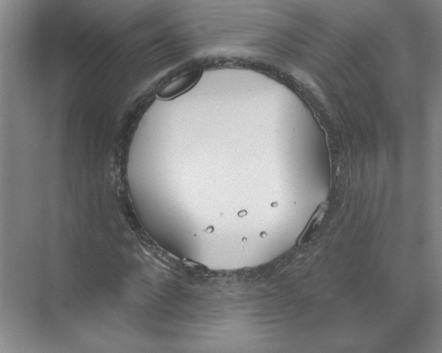 X0000074320872200609230024