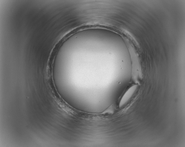 X0000074320876200609230024