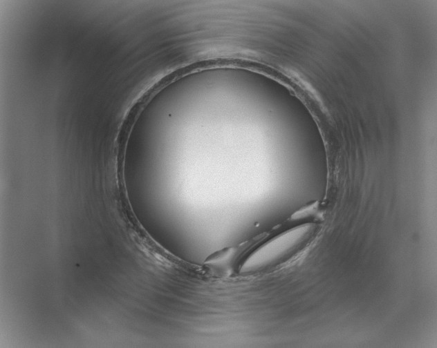 X0000074320877200609230024