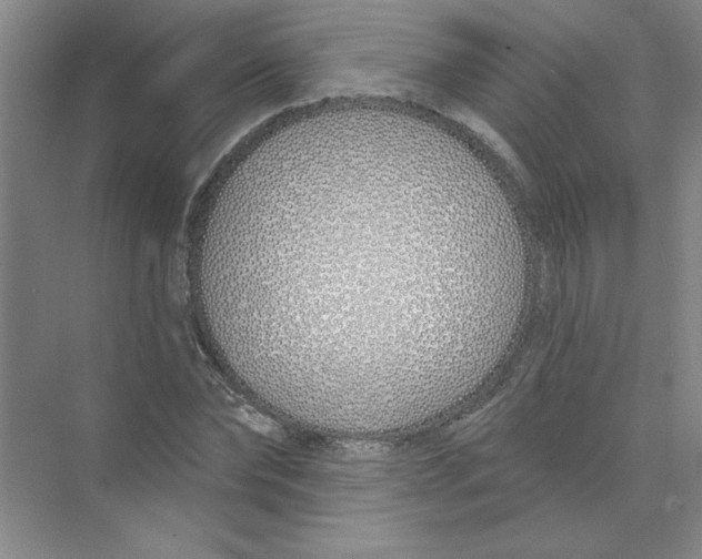 X0000074320878200609230024