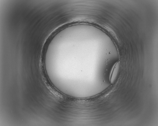 X0000074320880200609230024