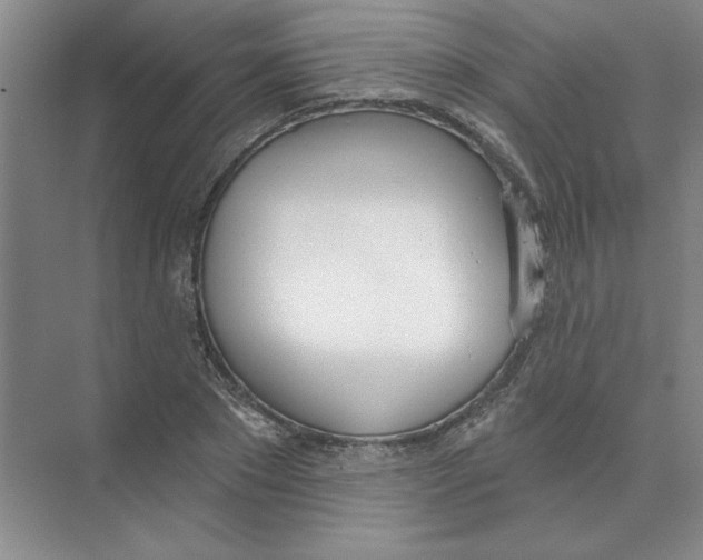 X0000074320881200609230024