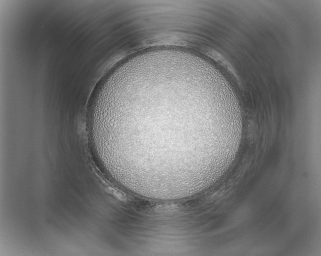 X0000074320882200609230024