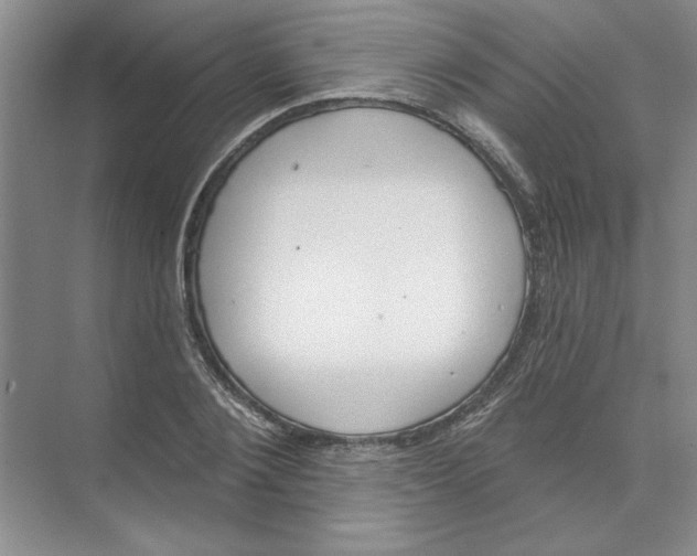 X0000074320884200609230024