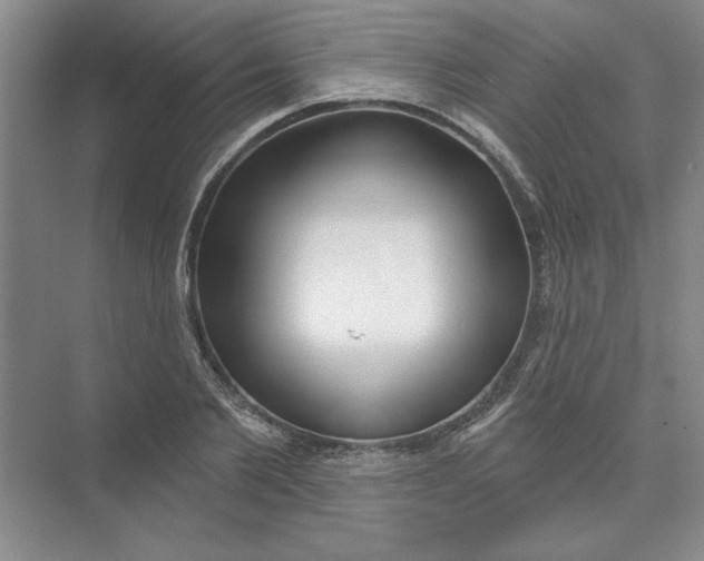 X0000074320885200609230024