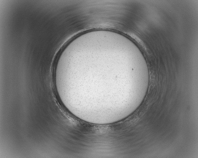 X0000074320886200609230024