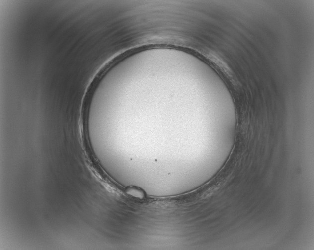 X0000074320888200609230023