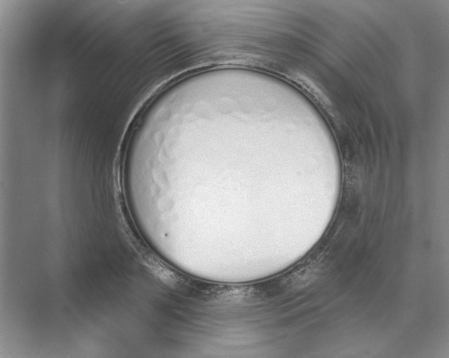 X0000074320891200609230023