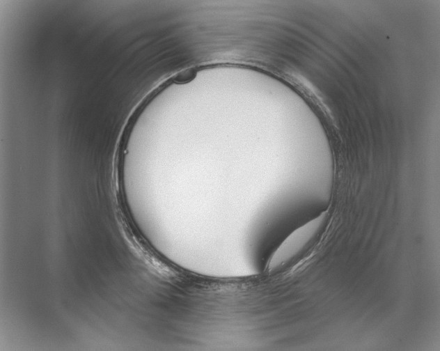 X0000074320892200609230023