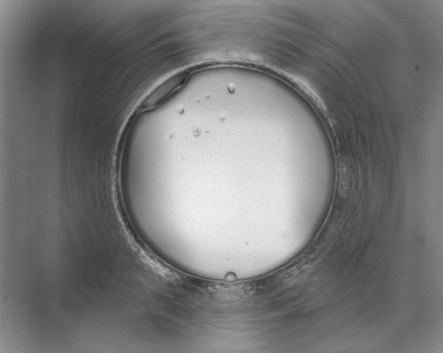 X0000074320895200609230023