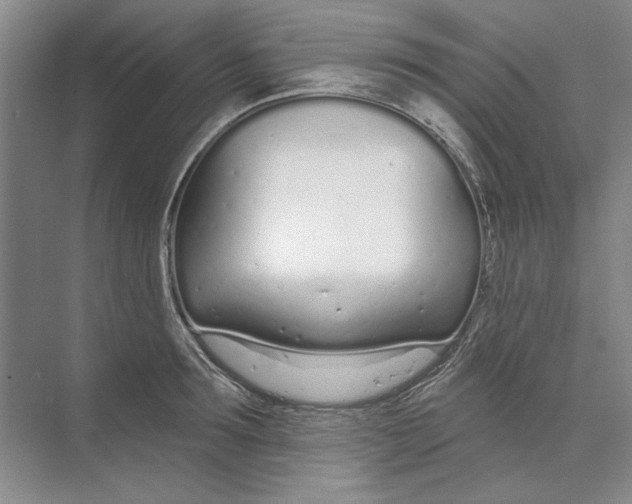 X0000074320899200609230023