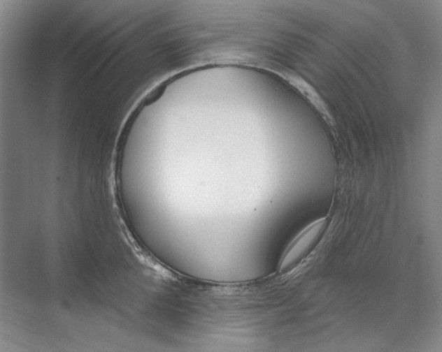 X0000074320904200609230023