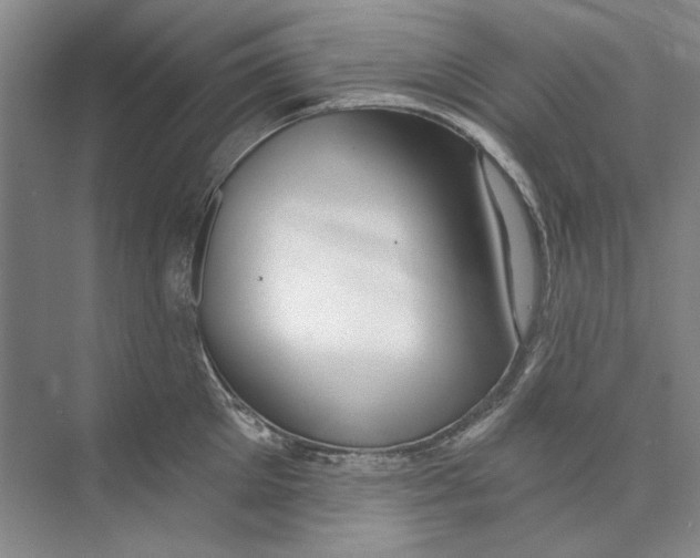 X0000074320905200609230023