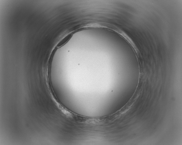 X0000074320909200609230023