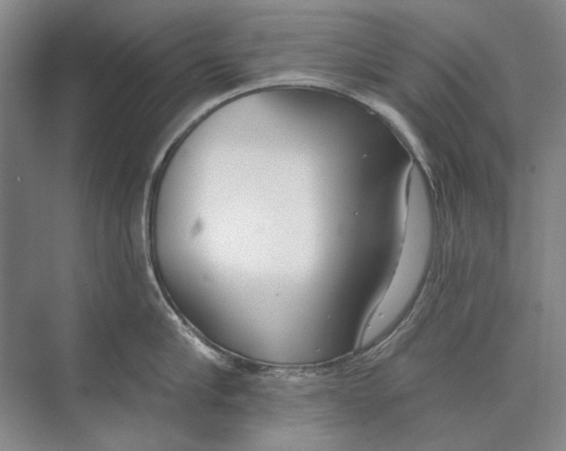 X0000074320910200609230023