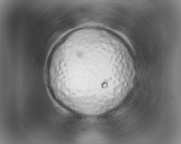 X0000074320911200609230023