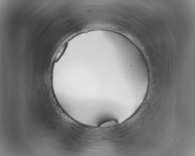 X0000074320912200609230023