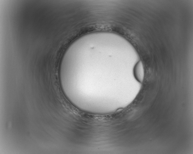 X0000074320913200609230022