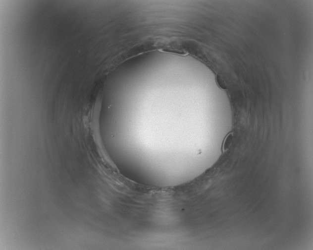 X0000074320914200609230022