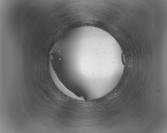 X0000074320916200609230022