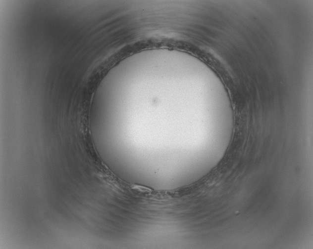 X0000074320919200609230022