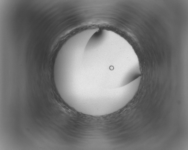 X0000074320920200609230022