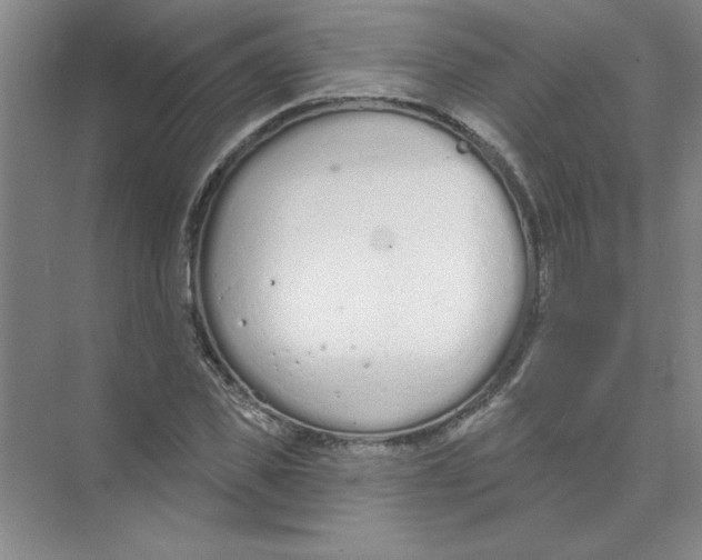 X0000074320925200609230022