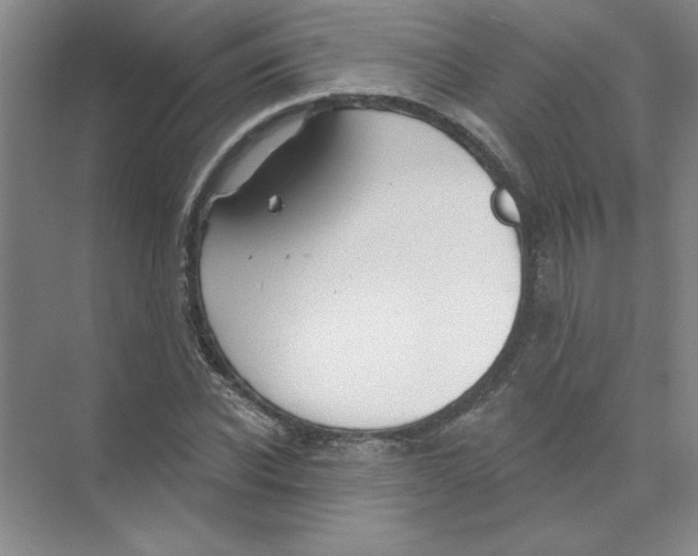 X0000074320926200609230022