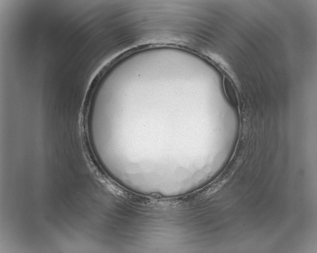 X0000074320928200609230023