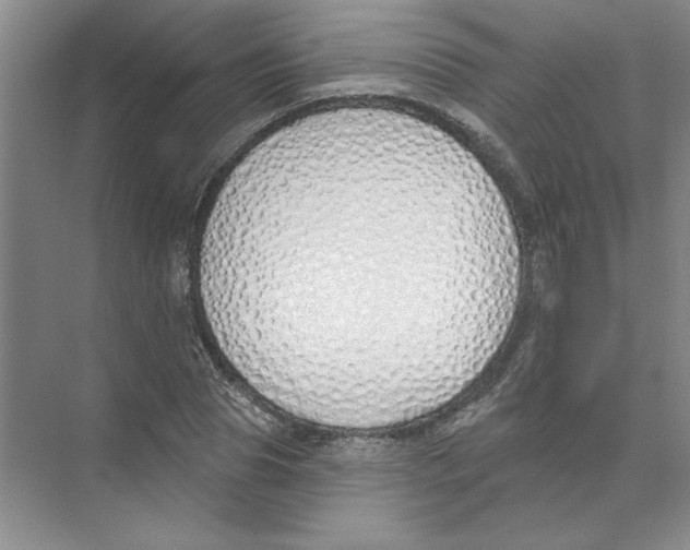 X0000074320929200609230023