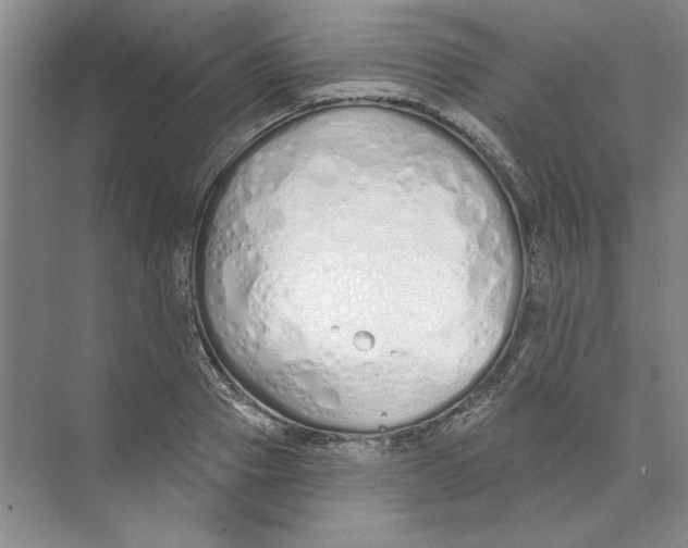 X0000074320937200609230023