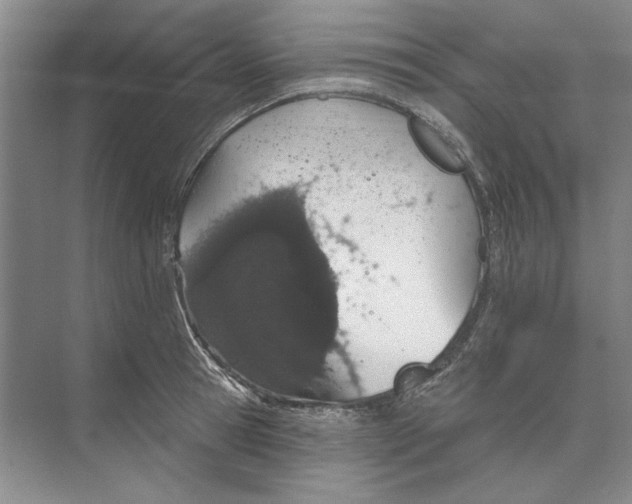 X0000074320945200609230023