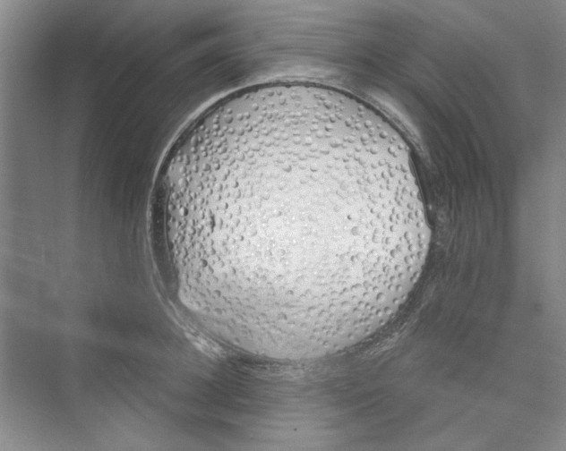 X0000074320948200609230023