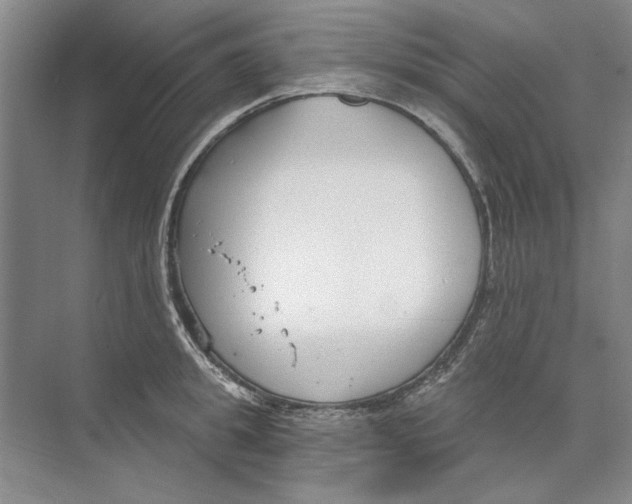 X0000074320949200609230023