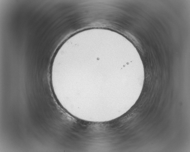 X0000074320950200609230023