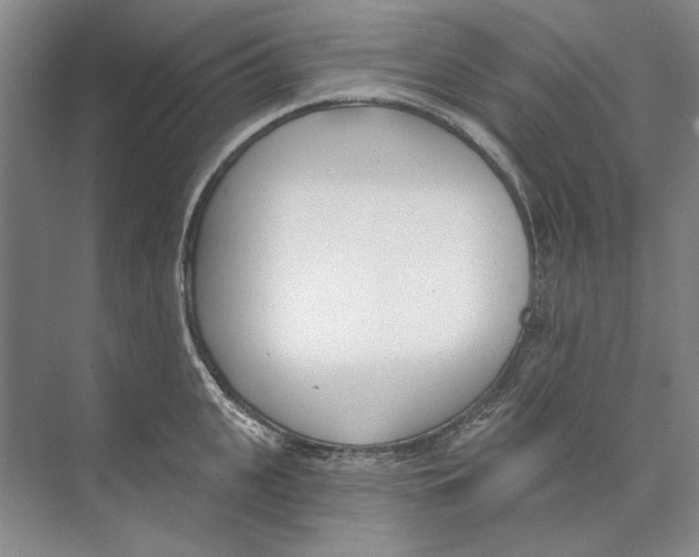 X0000074320951200609230023