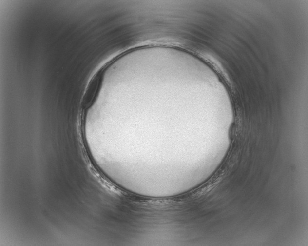 X0000074320952200609230023