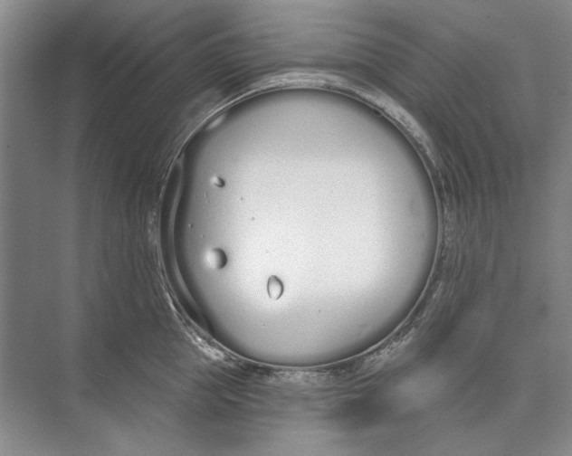 X0000074320953200609230023