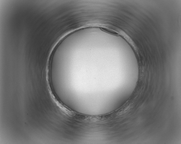 X0000074320955200609230023